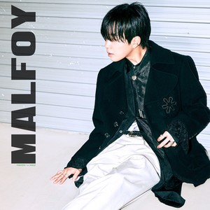 Malfoy (feat. 허성현 (Huh!)) [Explicit]