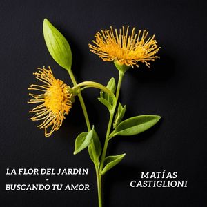 La Flor Del Jardín/Buscando Tu Amor