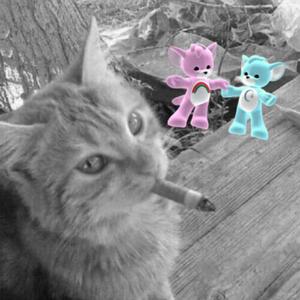 561 (feat. lungskull) (Explicit)