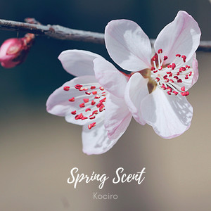 Spring Scent