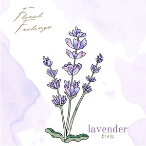 lavender