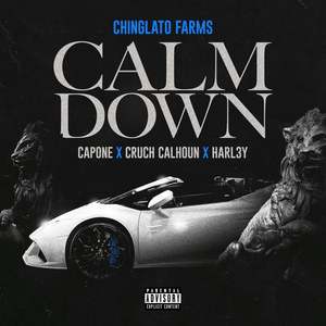 Calm Down (Explicit)