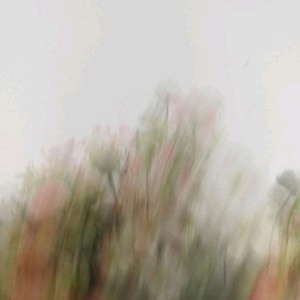 to the past (Explicit)