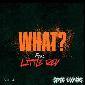 WHAT? (feat. Little Red) (Explicit)