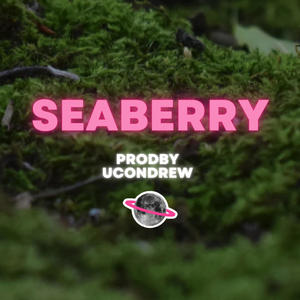 SEABERRY (feat. UCONDREW)