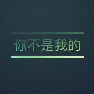 杨世民 - 你不是我的