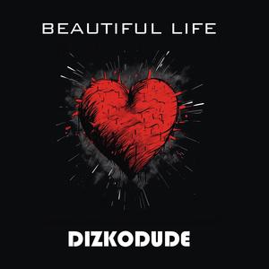 Dizkodude - Beautiful Life (Radio Edit)