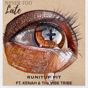 Never too Late (feat. KENAH & The VIBE TRIBE)