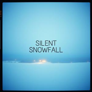 Silent Snowfall