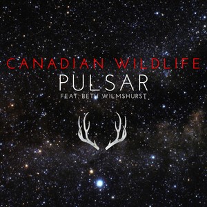 Pulsar - EP