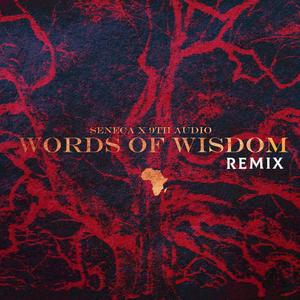 Words of Wisdom (9th Audio Remix)