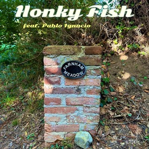 Honky Fish - Farnham Meadow (feat. Pablo Ignacio)