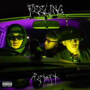 FEELING (feat. WTR & Bal$) [Remix] [Explicit]