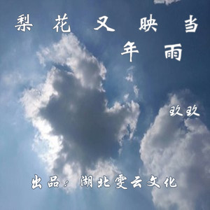 玖玖 - 梨花又映当年雨 (伴奏)
