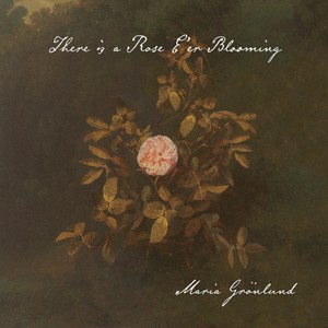 There Is a Rose E'er Blooming