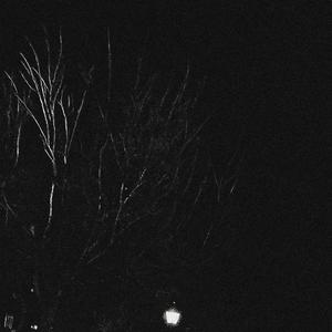 Baccowitdewood (feat. Conor) (Explicit)