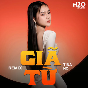 Giã Từ (Remix)