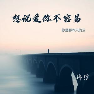 想说爱你不容易(你是那昨天的云)
