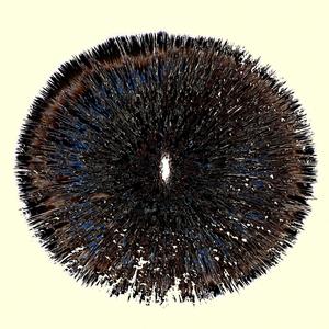 Kanaamara (Explicit)