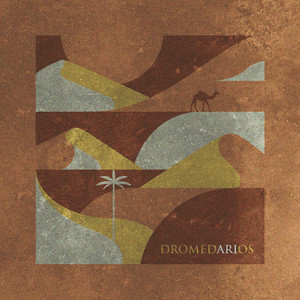 Dromedarios