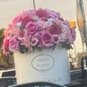 Hate Being Ina Loop (Explicit)