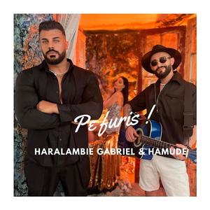 Pe furiș (feat. Hamude) (Radio Edit)