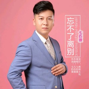 忘不了离别