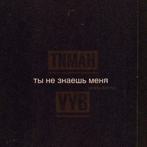 Ты не знаешь меня (feat. VYB) [Explicit]