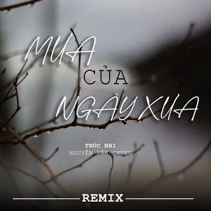 Mưa Của Ngày Xưa (Remix)