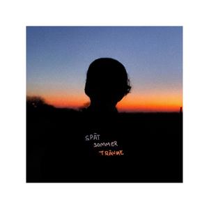 Niemandsland (feat. bacc) (Explicit)