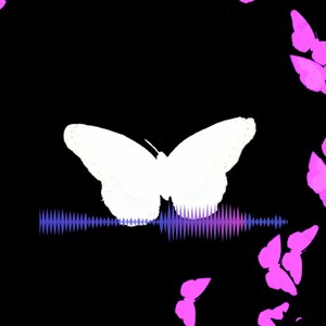 Shoot the Three / Shoutout Me (Explicit)