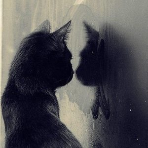 Love UU-邱艺