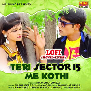 Teri Sector 15 Me Kothi (Lofi Slowed+Reverb)