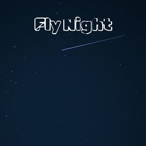 Fly Night