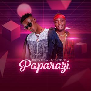 Paparazi(feat. Dreycoded)