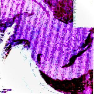 Null Flower / Null Object
