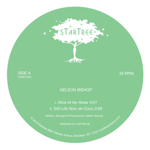 Alice et les Aloes (Darshan Jesrani Coup de Soleil Mix)