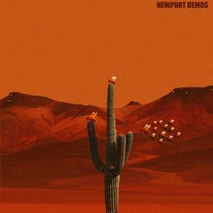 NEWPORT DEMOS