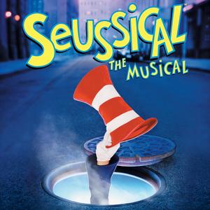 Chasing The Whos (Original Broadway Cast Recording)