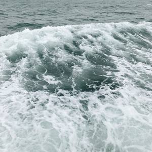 等我们老了，就定居在重庆