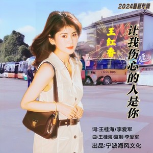 让我伤心的人是你-抒情版 (伴奏)