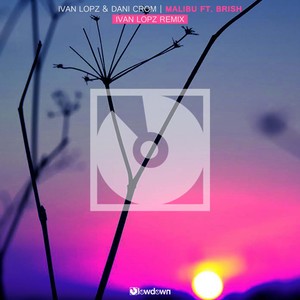 Malibu (Extended Remode)