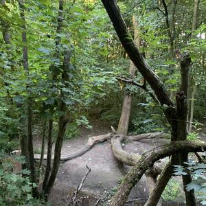 better off without me (Explicit)