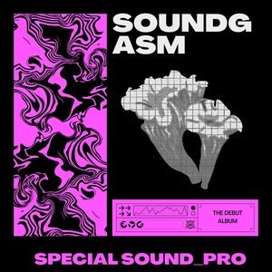 SOUNDGASM (Explicit)