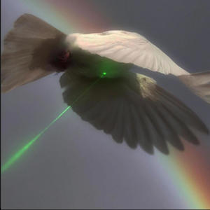 Everytime (Explicit)