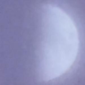 darling, i just fell in love with you