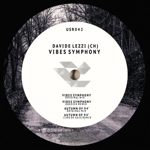 Vibes Symphony EP