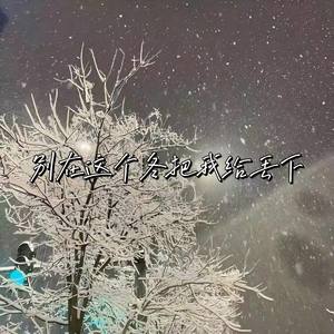 别在这个冬把我给丢下