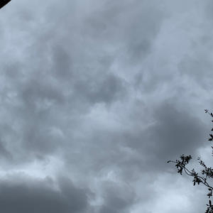 Stick talk (feat. $jayfo) (Explicit)