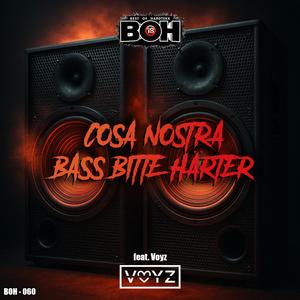 Bass bitte härter (feat. VOYZ)